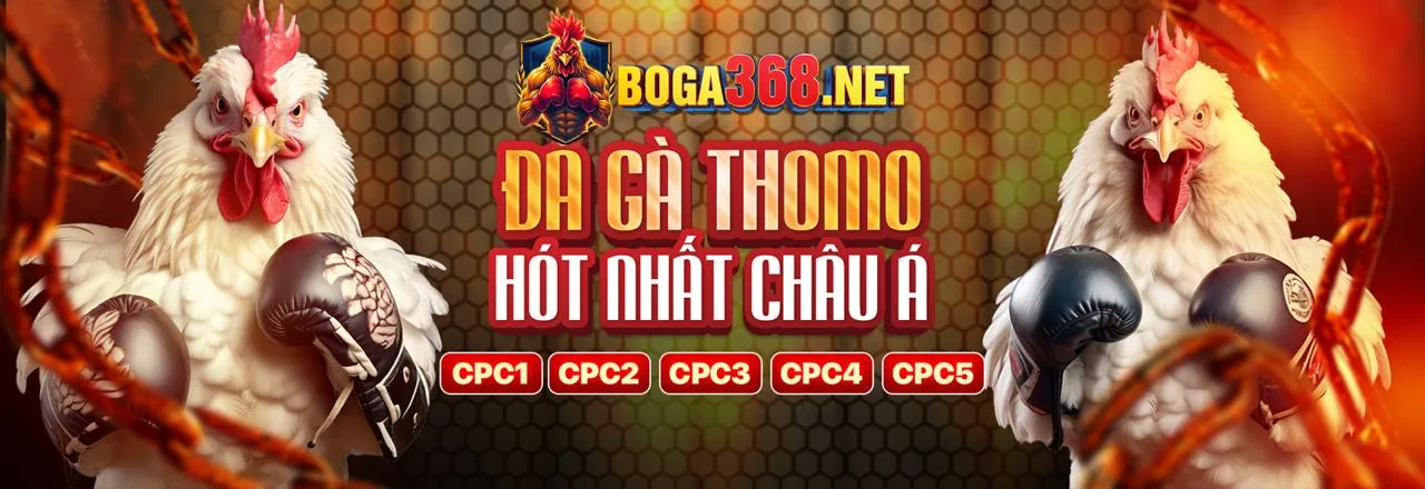 Các lợi ích khi chơi đá gà tại tai sumvip.club như an toàn, giao diện dễ dùng, hỗ trợ 24/7